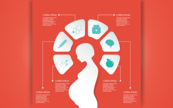Pregnancy and Motherhood Infographic: Visual Guide for Maternal Health
